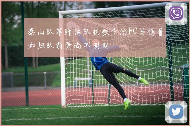 泰山队军师离队执教今治FC马德鲁加归队前景尚不明朗